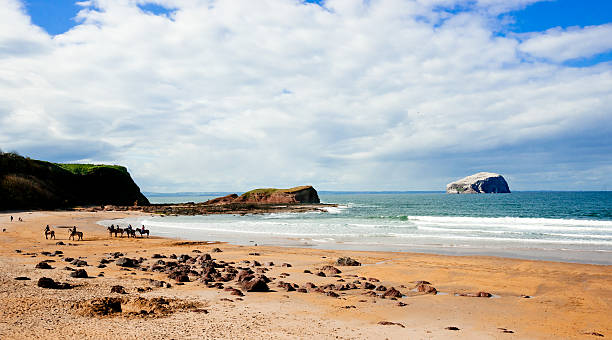 seacliff praia, lothian oriental, escócia - sea bass imagens e fotografias de stock