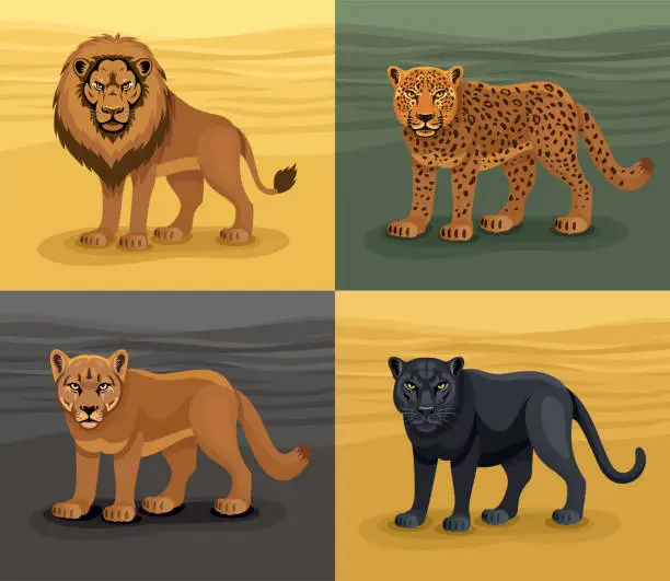 Vector illustration of Lion. Leopard. Cougar. Black Leopard. Vector Big Cats Head Logo. Mascot Creative Design.