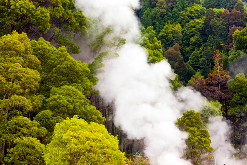 Steaming fumaroles close-up in Furnas valley, forest background. Azores, Sao Miguel Island, Portugal