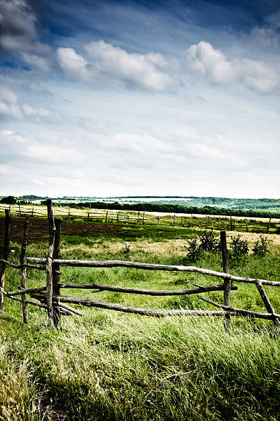 Paisagem rural em um dia nublado - fotografia de stock