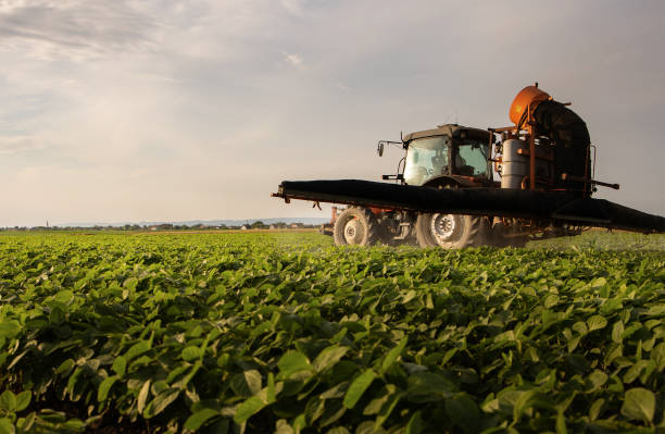 istock Tractor spraying soybean crops field 1519186401