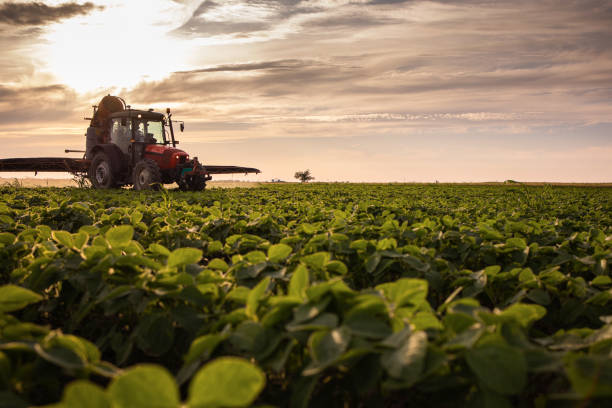 istock Tractor spraying soybean crops field 1519187517
