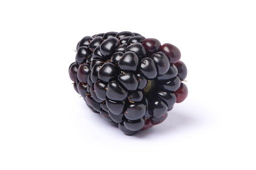 Blackberry isolated on white background with clipping path.
