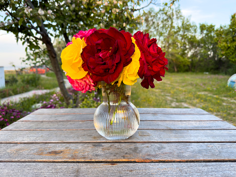 Variation or group of garden roses flowers in small vases or bottles