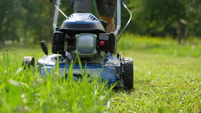 Lawn mower cutting grass. Small grass cuttings fly out of lawnmower. Grass clippings get spewed out of a mower pushed around by landscaper. Slow Motion. Close Up. Gardener working with mower machine.