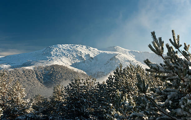 mountain summit view through tree winter landscape snow seasonal stock photo