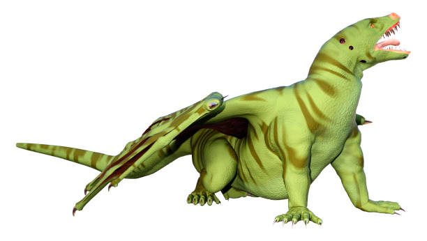 istock 3D Rendering Fairy Tale Dragon on White 1519236566