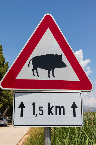 Neretva, Croatia.06-04-2023. Road sign for wild boar danger in Croatia.