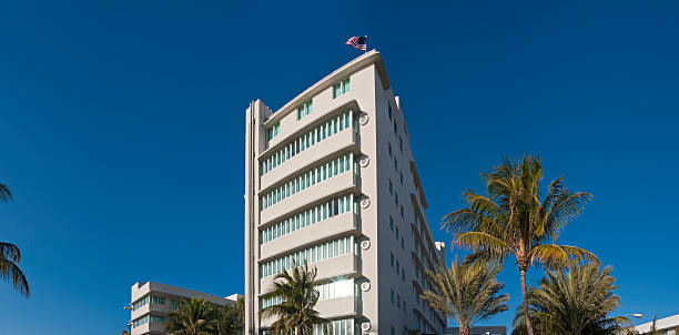 palma árvores de miami beach hotel - art deco miami florida florida apartment imagens e fotografias de stock