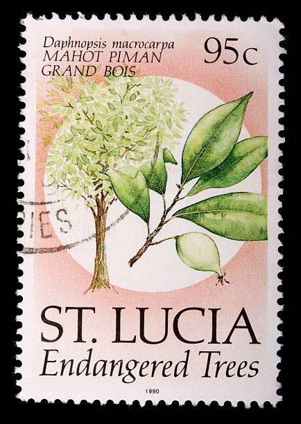 95-cent stamp printed in Saint Lucia