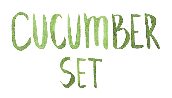 Watercolor Cucumber Set Lettering sketch isloated
