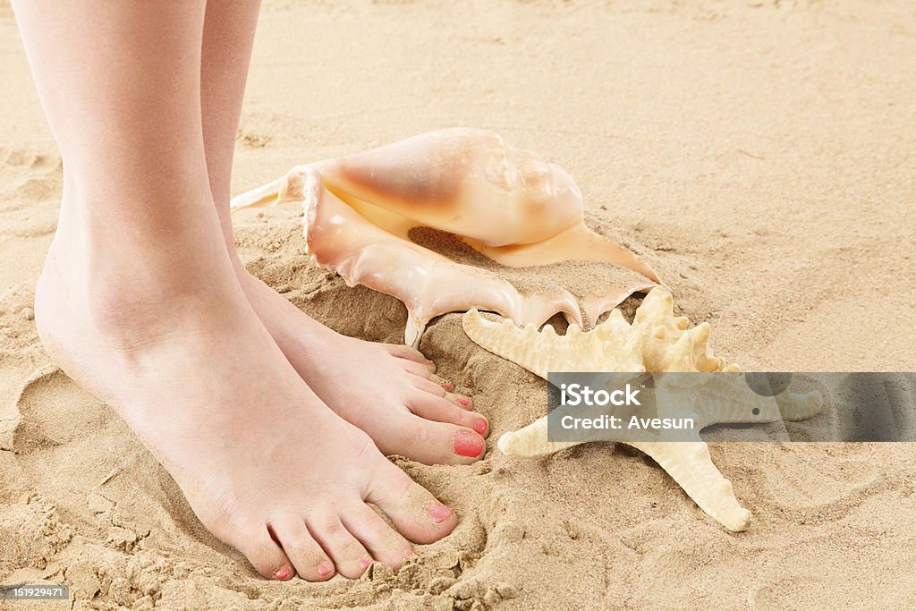 Feets and beach sand Human feet on sand with shell and starfish Abstract Stock Photo