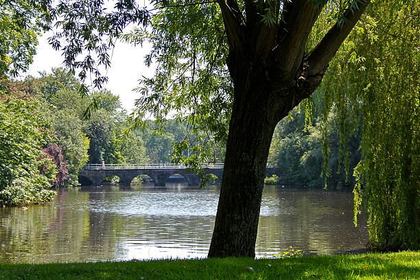 istock Minnewater park in Bruges 151929511
