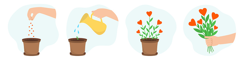 Growing flowers. Seeding, watering, young sprout, bouquet with hearts. Vector illustration. Design for Valentines day or environmental protection. Concept of kindness and love