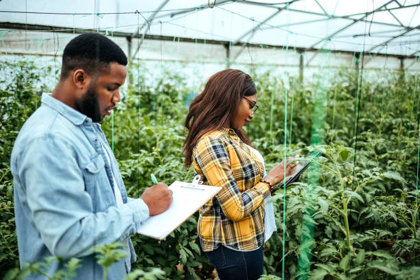 istock Inventory of plants in greenhouse 1519301856