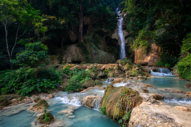Located about 23km from the town of Luang Prabang, the Kuang Si Falls is nestled in a lush jungle with a main waterfall flowing into a beautiful series of turquoise cascading pools. A visit to this location is wonderful way to cool down in the hot humid afternoons.