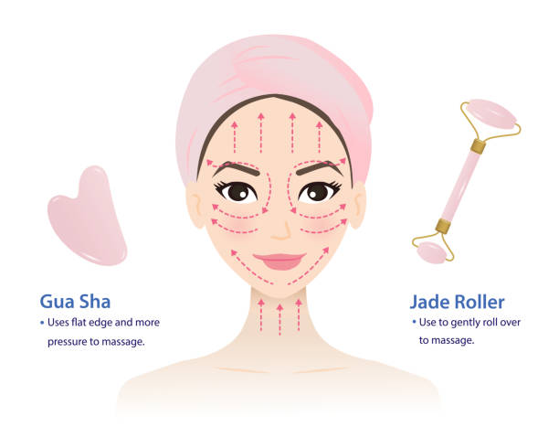 ilustrações, clipart, desenhos animados e ícones de como usar gua sha e jade rolo ilustração vetorial isolada no fundo branco. - face lift illustrations