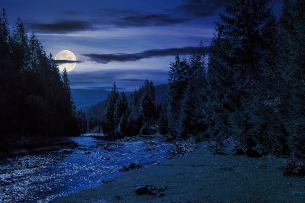 istock autumn landscape at night 1519303997