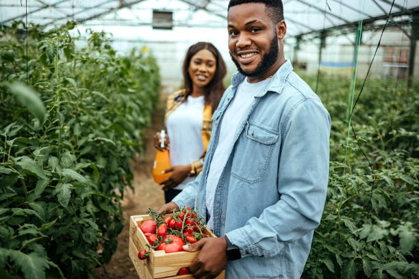 istock Farm workers having fun in greenhouse 1519307771