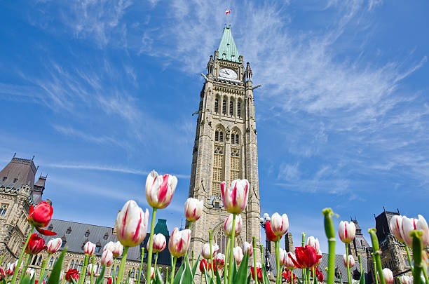 istock Ottawa Parliament Building and Tulips 151934374