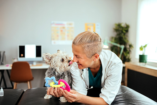 Female veterinarian and a dog in a veterinary office