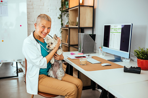 Doctor with a stethoscope sitting at the desk with a dog