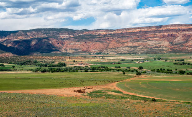 istock High Colorado valley with cattle in a large pasture seen from above. 1519382930