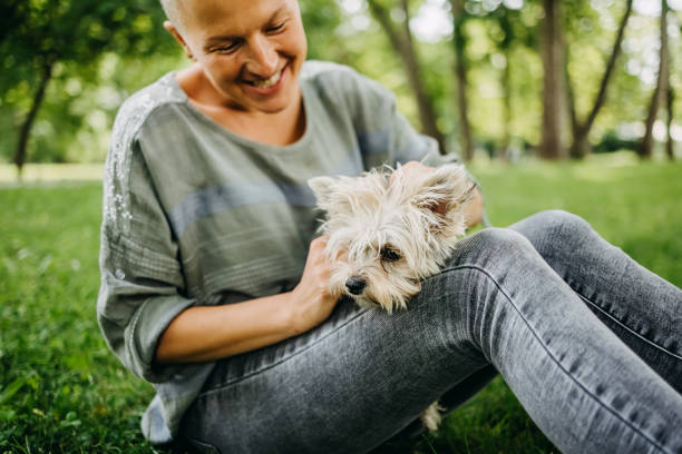 istock Woman pet her dog 1519387398