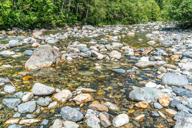 istock Clear Mountain Rocky Creek 6 1519387401
