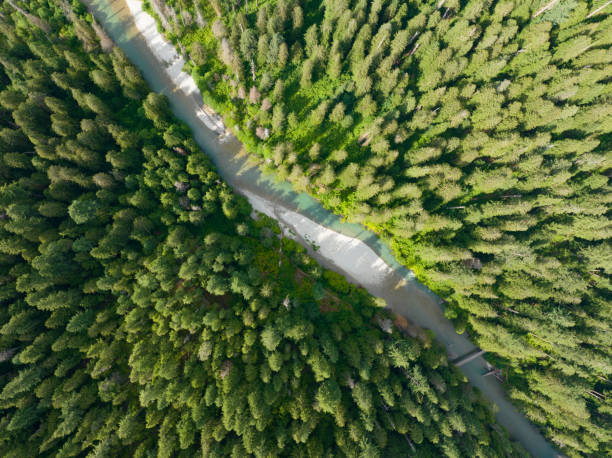 istock Aerial View of Mountain Forest and River in Cascade Mountains 1519409616