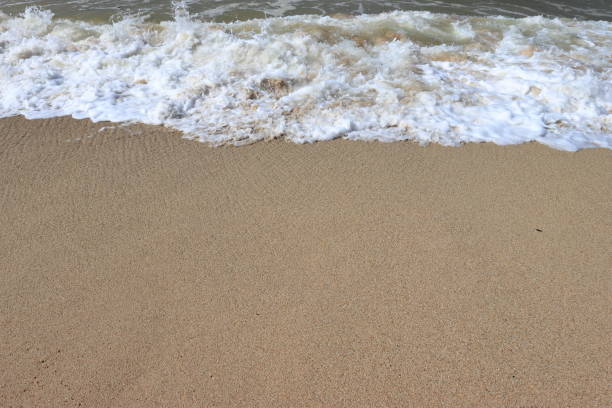 Vigie Beach, Saint Lucia: shows a close-up view of a gentle wave lapping at a sandy beach shore. The water is creating a thin, frothy white line as it meets the sand, with the wave's edge forming a delicate, scalloped pattern. The wet sand appears a rich golden-brown color, glistening with moisture. Further out, you can see multiple layers of small waves approaching the shore, their surfaces sparkling in the light. The scene captures a moment of serene beauty, showcasing the constant, rhythmic motion of the sea meeting the land. The composition emphasizes the textures and colors of the water and sand, creating a soothing and tranquil atmosphere typical of a calm day at the beach