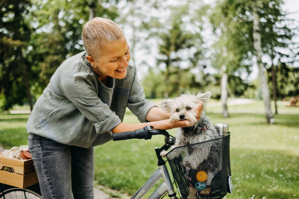 istock Dog rides in the bicycle basket 1519417194
