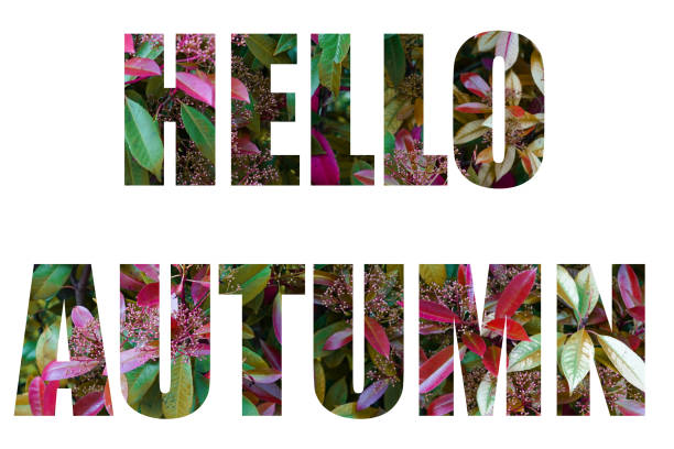 istock Words Hello Autumn from a colorful leaves pattern. words isolated on white background 1519420453