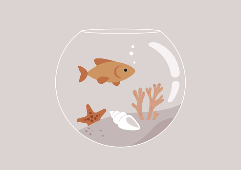 A round fish tank with corals and sea shells inside, a goldfish swimming