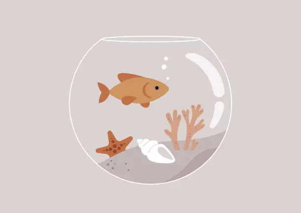 Vector illustration of A round fish tank with corals and sea shells inside, a goldfish swimming