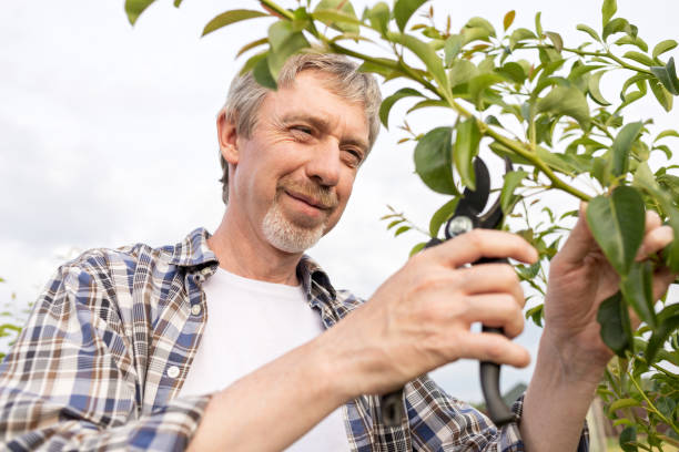 istock 50 year old white farmer tending garden plants 1519526711