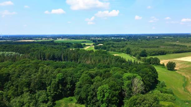 istock Drone view of a mixed forest with green trees in northern Germany. 1519558792