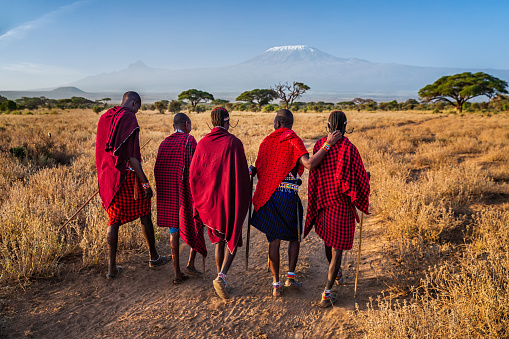 MASAI MARA, KENYA - MAY 2014. Unidentified Masai warriors participate in competitions in traditional high jump as part of the cultural ceremonies and dances in the Masai Mara National Park