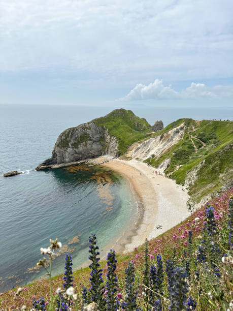 istock Man O'War Beach on Jurassic Coast, Dorset, England, UK 1519605526