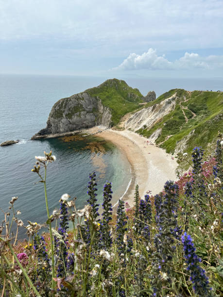 istock Man O'War Beach on Jurassic Coast, Dorset, England, UK 1519605530