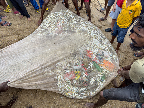 Local fisherman looking at their catch of fish, litter, plastic and debris in Ahangama, Sri Lanka