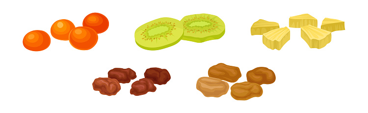 Sun Dried Fruit as Food with Sweet Taste and Nutritive Value Vector Set. Healthy Organic Snack as Raw Superfood Rich of Vitamin and Fiber Concept