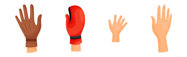 illustrazioni stock, clip art, cartoni animati e icone di tendenza di diverse mani umane destra e sinistra con il palmo sollevato vector set - signal box
