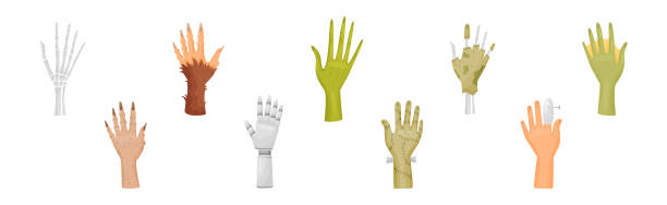 Hands and Paws of Fantastic Creatures and Monsters Vector Set Hands and Paws of Fantastic Creatures and Monsters Vector Set. Raised Up Palm with Spooky Fingers Concept skeloton hand stock illustrations
