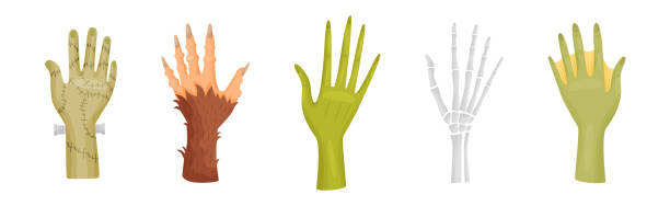 Hands and Paws of Fantastic Creatures and Monsters Vector Set Hands and Paws of Fantastic Creatures and Monsters Vector Set. Raised Up Palm with Spooky Fingers Concept skeloton hand stock illustrations
