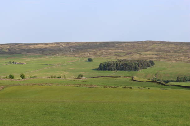 istock View over remote countryside in bright summer sunshine with green fields stretching to the horizon 1519697790