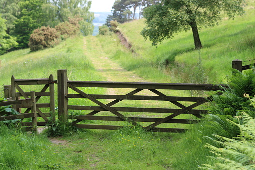 Wooden gate leading to a countryside walking trail
