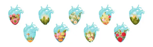 Vector illustration of Human Hearts with Vessels and Scenes Inside Vector Set