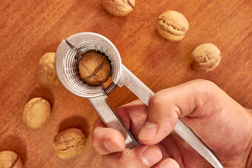 Walnuts are split with a nutcracker. Kitchen appliances for work in the kitchen.