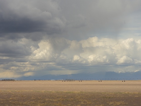 Crop irrigation equipment of the flat plains west of the Sangre de Cristo mountains. Storm clouds gather in this arid agricultural area. Cloudscape with shafts of rain and virga.